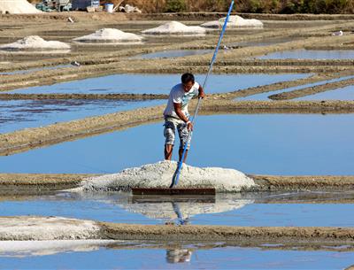 The salt marshes - Camping *** Les Forges - Pornichet | La Baule